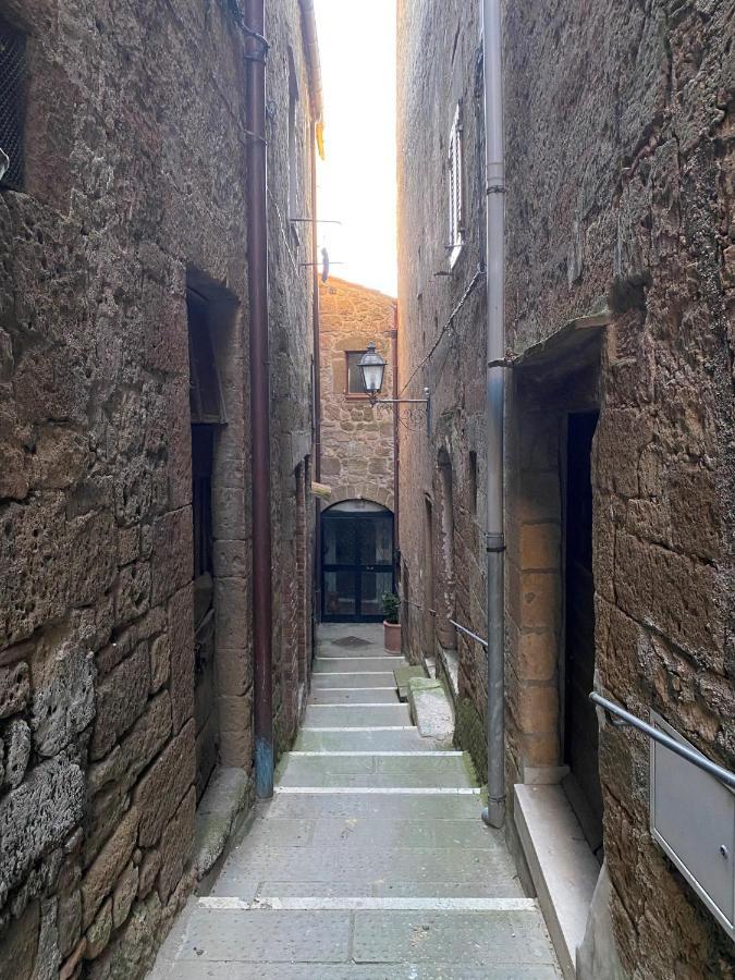 La Sorpresa Monolocale Con Vista Vallata Pitigliano Exteriör bild