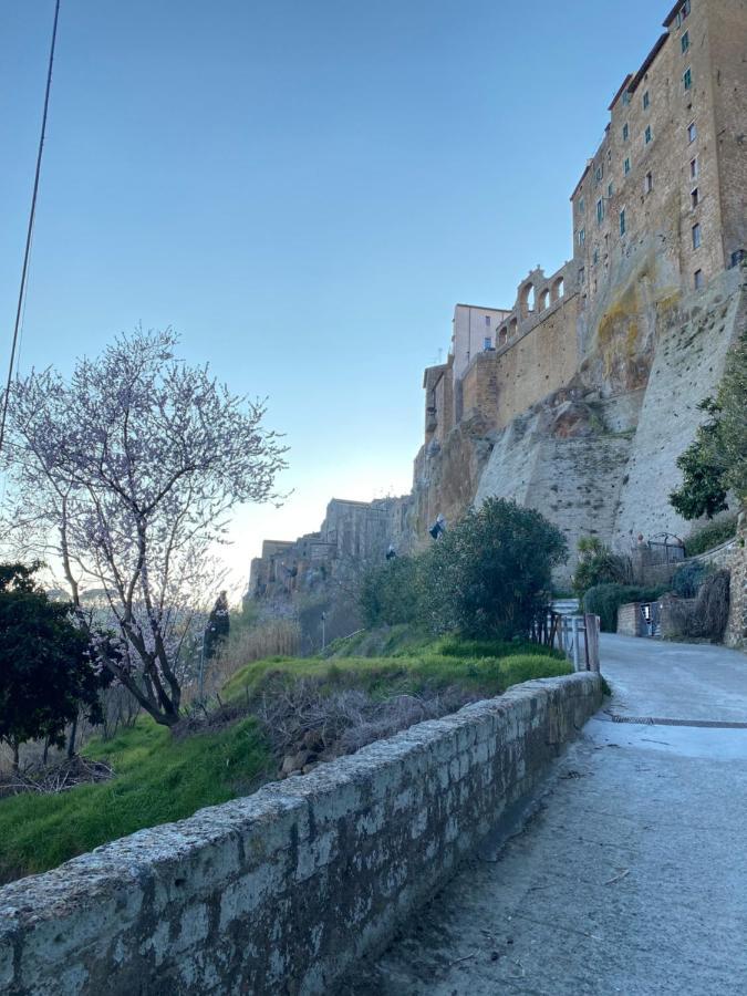 La Sorpresa Monolocale Con Vista Vallata Pitigliano Exteriör bild