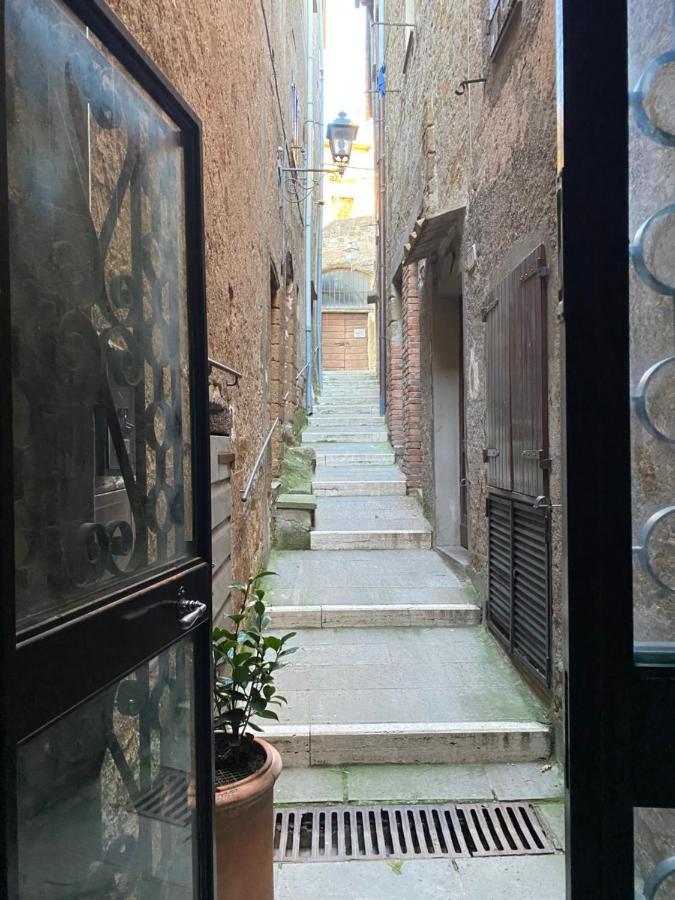 La Sorpresa Monolocale Con Vista Vallata Pitigliano Exteriör bild